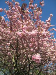 EIMG_8010