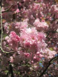 EIMG_8011