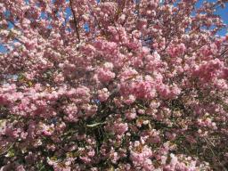 EIMG_8013