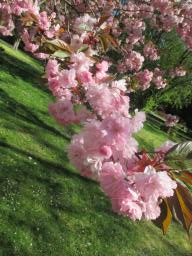EIMG_8014