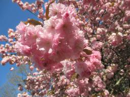EIMG_8015