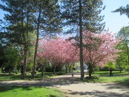 EIMG_8024