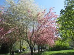 EIMG_8028