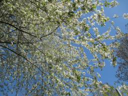 EIMG_8029