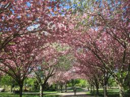 EIMG_8030