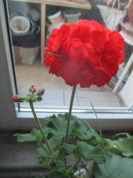 EIMG_8085