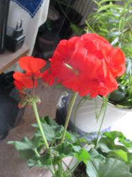 EIMG_8095