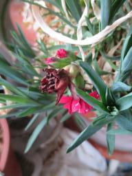 EIMG_8096