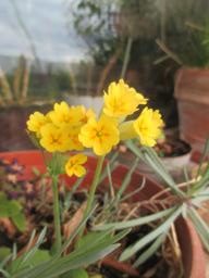 EIMG_8097
