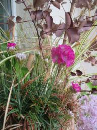 EIMG_8098