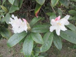 EIMG_8102