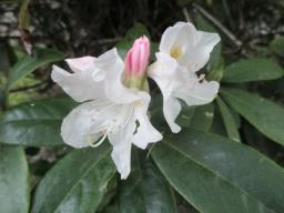 EIMG_8104