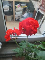 EIMG_8111