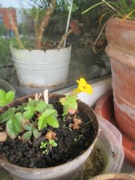 EIMG_8120