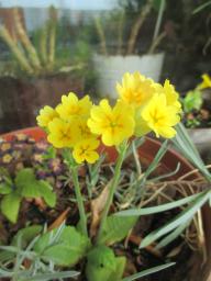 EIMG_8121