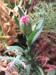 EIMG_8125