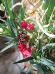EIMG_8126