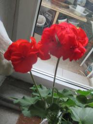 EIMG_8132
