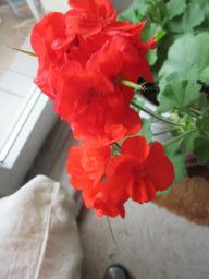 EIMG_8133