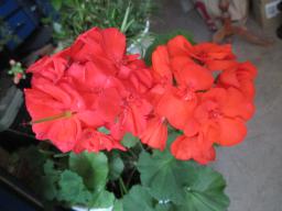 EIMG_8134