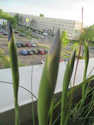 EIMG_8136