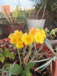 EIMG_8137
