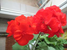 EIMG_8144