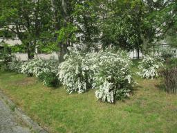 EIMG_8149
