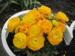 EIMG_8151