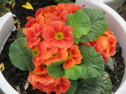 EIMG_8152