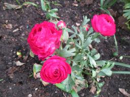 EIMG_8155