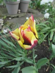 EIMG_8156