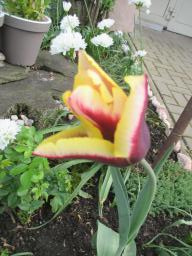 EIMG_8157