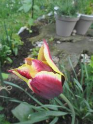 EIMG_8158
