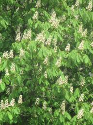 EIMG_8164