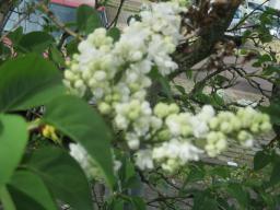 EIMG_8165