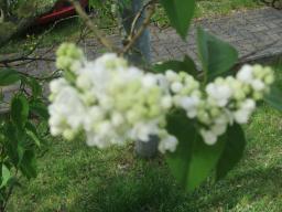 EIMG_8167