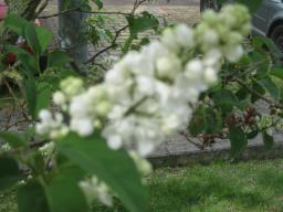 EIMG_8168