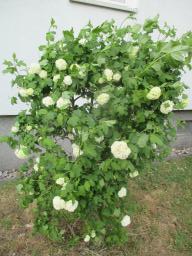 EIMG_8169