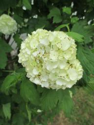 EIMG_8170