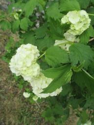 EIMG_8171