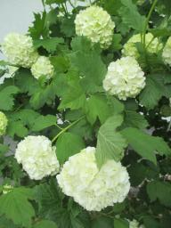 EIMG_8172