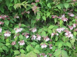 EIMG_8173