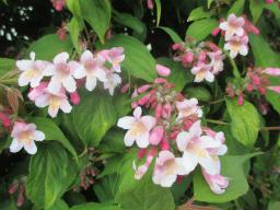 EIMG_8174