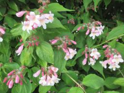 EIMG_8175