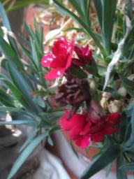 EIMG_8177