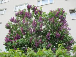 EIMG_8184