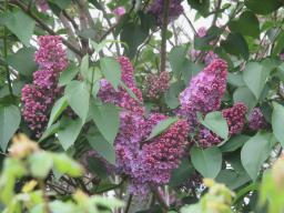 EIMG_8186