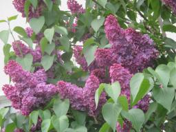 EIMG_8187