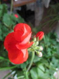 EIMG_8217